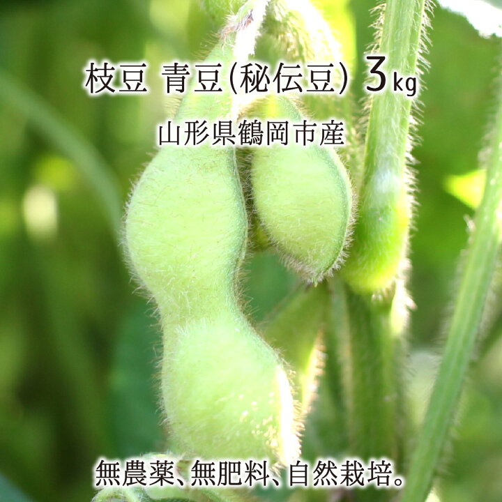 楽天市場 枝豆 青豆 秘伝豆 3kg 無農薬 無肥料 自然農法 山形県鶴岡市産 9月下旬 10月上旬 500g 6 送料無料 産直 むすび