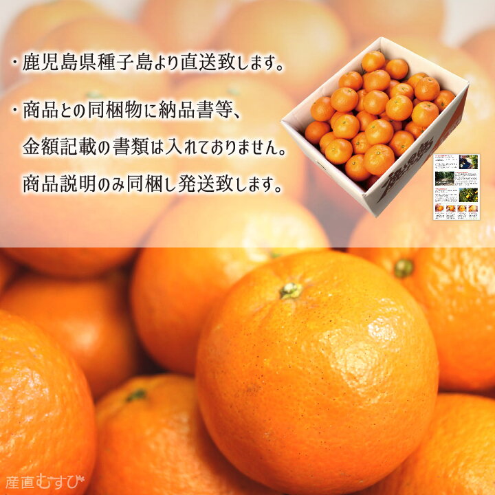 楽天市場】たんかん 訳あり品 5kg サイズ混合 鹿児島種子島産 タンカン 