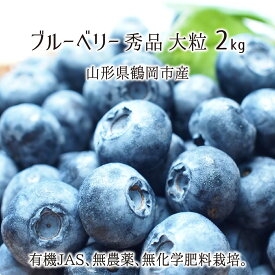 生ブルーベリー 2kg 大粒 秀品 山形県鶴岡市羽黒産 有機JAS 無農薬 無化学肥料 有機栽培 ハイブッシュ 6月下旬～7月中旬 送料無料