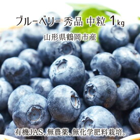 生ブルーベリー 1kg 中粒 秀品 山形県鶴岡市羽黒産 有機JAS 無農薬 無化学肥料 有機栽培 ハイブッシュ 6月下旬～7月中旬 送料無料