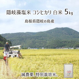 隠岐藻塩米 特別栽培 コシヒカリ 白米 5kg 島根県隠岐の島町 2023年産 減農薬 減化学肥料 単一生産者米 エコファーマー 藻塩乃華 送料無料