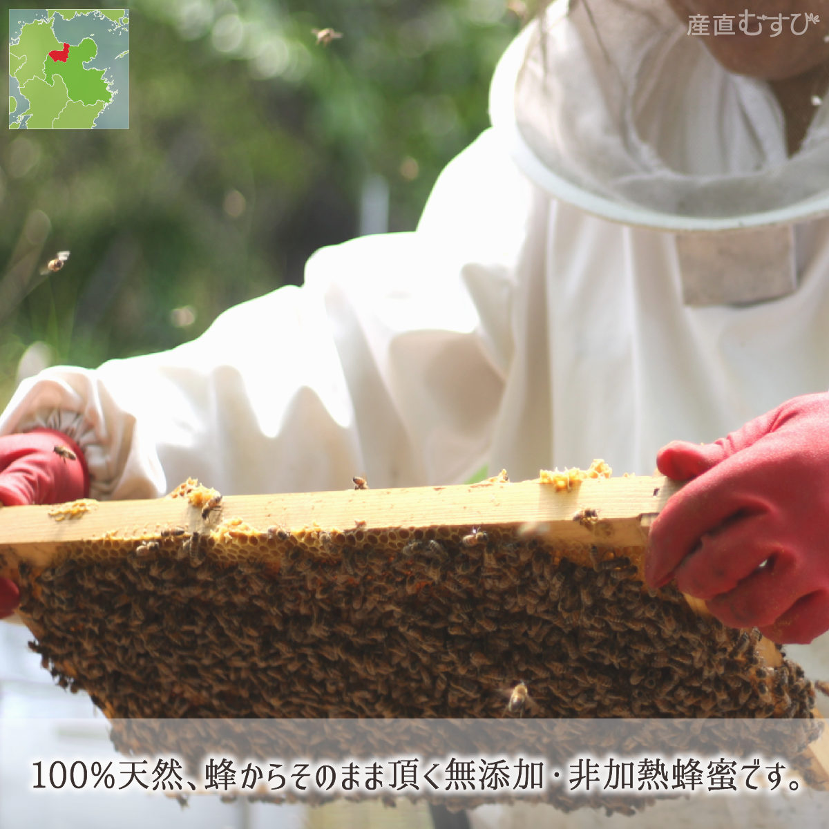 楽天市場】レンゲ蜂蜜 糖度80度以上 無添加 非加熱 全原材料国産 天然