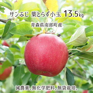 Tӂ tƂ炸() 4.5kg 9kg 13.5kg _ w엿 X암Y  ƒp 12{`3{ 