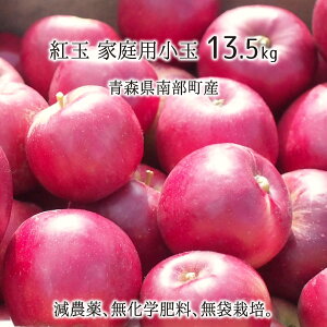 g GiE󂠂荬() 4.5kg 9kg 13.5kg _ w엿 X암Y  ƒp 10{`11{ 