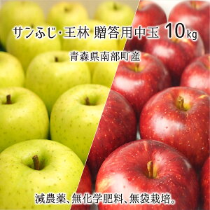 Tӂ/ Gi  3kg 5kg 10kg _ w엿 X암Y  p 12{`2{ 