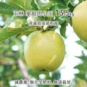  󂠂() 4.5kg 9kg 13.5kg _ w엿 X암Y  ƒp 12{`2{ 