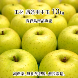  Gi  3kg 5kg 10kg _ w엿 X암Y  p 12{`2{ 