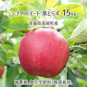 シナノスイート 葉とらず 5kg 10kg 15kg 減農薬 無化学肥料 青森県南部町産 りんご 家庭用 10月下旬〜1月中旬 送料無料