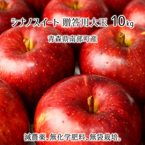 VimXC[g Gi  3kg 5kg 10kg _ w엿 X암Y  p 10{`1{ 