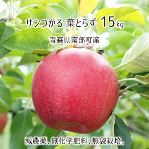 T tƂ炸 5kg 10kg 15kg _ w엿 X암Y  ƒp 9{`10{ 
