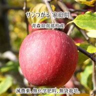 サンつがる 訳あり 5kg 10kg 15kg 減農薬 無化学肥料 青森県南部町産 りんご 家庭用 9月下旬〜10月中旬 …