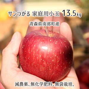 T 󂠂() 4.5kg 9kg 13.5kg _ w엿 X암Y  ƒp 9{`10{ 