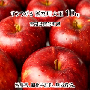 T Gi  3kg 5kg 10kg _ w엿 X암Y  p 9{`10{ 