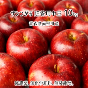 T Gi  3kg 5kg 10kg _ w엿 X암Y  p 9{`10{ 