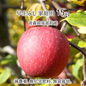 ӂ 󂠂 5kg 10kg 15kg _ w엿 X암Y  ƒp 10{`11{ 