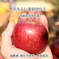 早生ふじ 訳あり(小玉) 4.5kg 9kg 13.5kg 減農薬 無化学肥料 青森県南部産 りんご 家庭用 10月中旬〜11月…