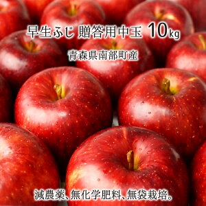 ӂ Gi  3kg 5kg 10kg _ w엿 X암Y  p 10{`11{ 