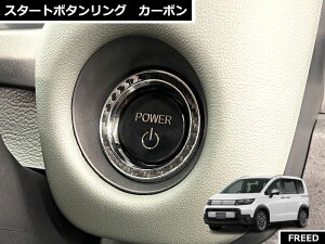 z_ FREED CROSSTAR t[hNX^[ 2024.6` p X^[g{^O J[{