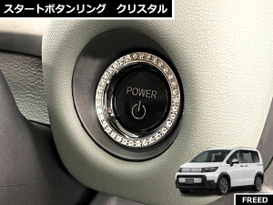 z_ FREED CROSSTAR t[hNX^[ 2024.6` p X^[g{^O NX^