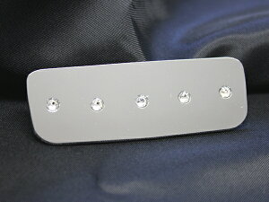 z_ NWGN Custom GkS JX^ p O[u{bNXL[pl NX^