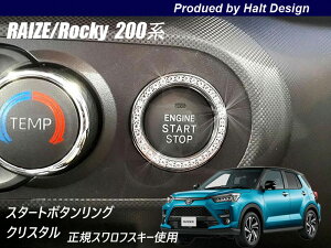 g^ 2019N11`p 200nRAIZE CY X^[g{^O NX^