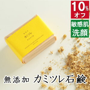 10%ItI100~200~N[|IESgp y@J~cΌzYΌ{܁@ɗDY΂ J~cz J~[ q  Ό ΃P j