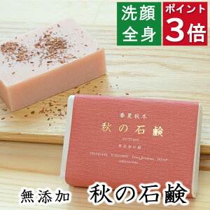 |Cg3{I100~N[|IESgp yH̐ΌzYΌ{܁@ɗDY΂ [jE̍ VAo^[ zzoz q  Ό ΃P 