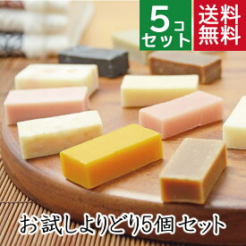 送料無料！よりどり選べるミニ石鹸5個洗顔 浴用 いい香り ギフト 無添加石鹸本舗 お肌に優しい無添加石けん ベビー 敏感肌 乾燥肌 コールドプロセス製法