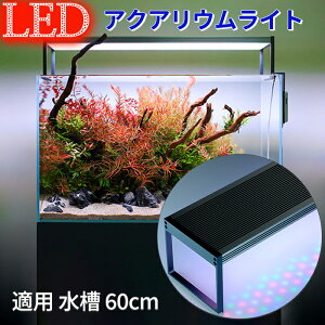 yz  Cg ANAECg LED p MыϏ 琬  Ɩ 60cm p Ɩ Cg Mы  Ɩ