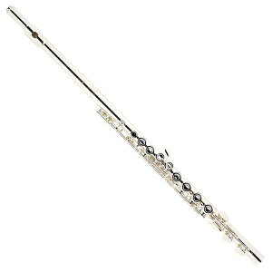 yz}nYFL-222 wpt[giCOŁjYamaha YFL-222 Intermediate Flute for Student (International Version)