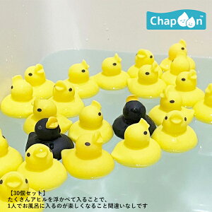 yP5{I1410-1623:59zЂ镗C v[ V ӂ날 oYj a v`Mtg j v[g xr[gC xr[oXbPn 킢 NVbN K[[ AeB[N