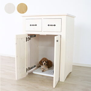 yzybggC[/GIOCOSO(WR[\jbPn 킢 NVbN K[[ AeB[N [^