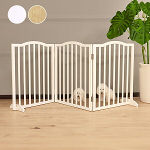 yzybgtFXirtE3܂j/GIOCOSO(WR[\jbPn 킢 NVbN K[[ AeB[N [^