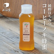 コーヒーノキ純粋はちみつ 垂れないキャップ付き 500g 【パン屋むつか堂】 希少 単花蜜 純粋蜂蜜 はちみ…