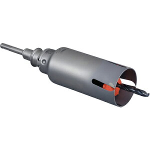 �y3/1��P2�{�z�~���i�K �E�b�f�B���O�R�A�h���� �Z�b�g SDS�v���X�V�����N PCWS65R