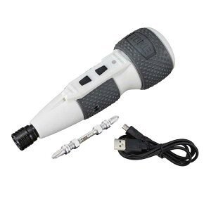 y11/1P3{z݌ɕi TONE gl 6.35sq. nCubhdhCo[ [d CHD21S ^ USB LEDCgt R[hX y lW hCo[ hhCo[ RpNg [dhCo[ d