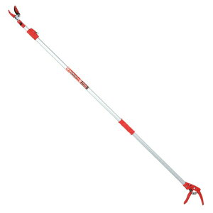 y11/1P3{zE-Value(Y) Lk}(t) EGLP-1 4977292685313