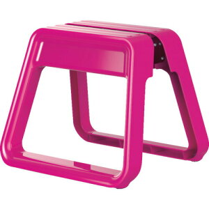 y12/10P3{zyzPica(sJ)  GEM STEP }[^ GEMS-NCMT ݑ p 萫