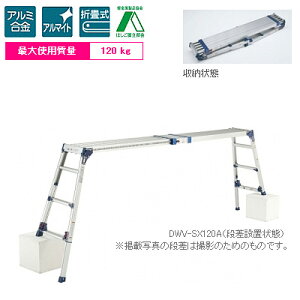 y12/5P3{zyzPica(sJ) lrAWXg ̂VXCh^Cv DWV-SX90A  p 