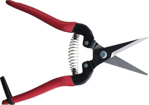 ARS(�A���X) �E����L 300L