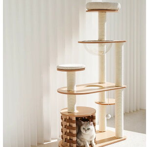 Lbg^[ L Lbgc[ 140cm L^[ Lp RpNg xbh  L ˂ Lp Vя X  ybgObY ybgpi 킢 ܌ V