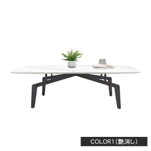 Z^[e[u Z~bN ` 130 140cm _ [e[u  e[u Z~bNe[u rO rOe[u   嗝Ε e[u O[ rt 40