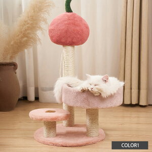 Lbg^[ Lbgc[ Lp xbh L^[  L L ˂ Lp Vя X ȃXy[X  ybgObY ybgpi 킢 ܌ VRTCU