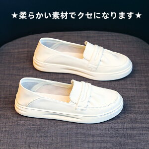  pvX ɂȂ [q[ ؂  ubN L _炩 ₷ {v 傫TCY  Ȃ ʋ ʊw d d  w ItBX tbg t