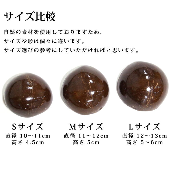 楽天市場】フラ 楽器 フラダンス オリジナル ココナッツ インストゥル 