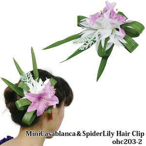 t_X  ~jJTuJ  XpC_[B wANbv 