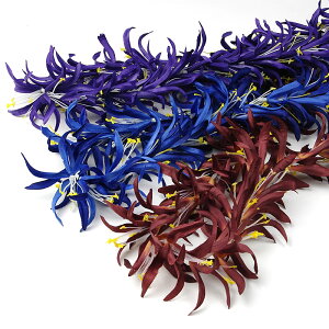 t_X C nCAC XpC_[B C F lCr[ 