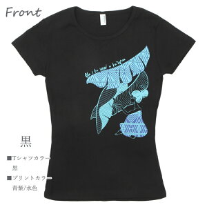 t_X tVc fB[X  K ҂ lC   oii[tCVF^[   lCr[ lR|XΉ