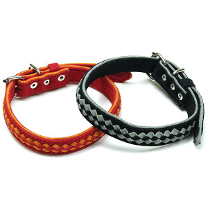 lR|X hbOEGA  ybg ybgEGA   ybg ybgpi Dogs Tail J[  hbOXeC bV C XEF[h