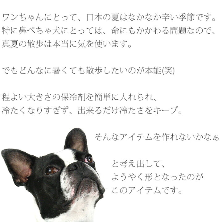 楽天市場 ネコポス送料無料 アイスノン ドッグウエア 犬服 ペット服 ペットウエア 犬 愛犬 ペット ペット用品 Nepunepu リバーシブル クール バンダナ Sサイズ Muumuumama 楽天市場店 楽天市場 ネコポス送料無料 アイスノン ドッグウエア 犬服 ペット服 ペットウエア 犬 愛犬 ペット ペット用品 Nepunepu リバーシブル クール バンダナ Sサイズ Muumuumama 楽天市場店